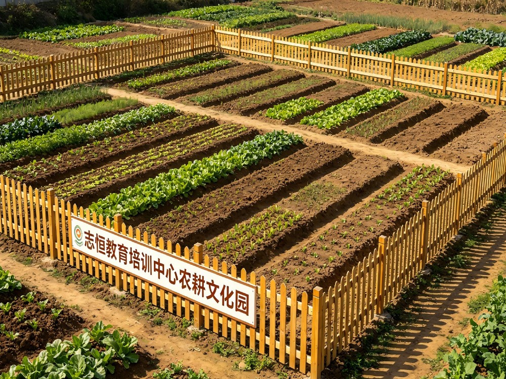 福建叛逆孩子全封闭管教学校选择指南:从误区到科学干预的完整路径